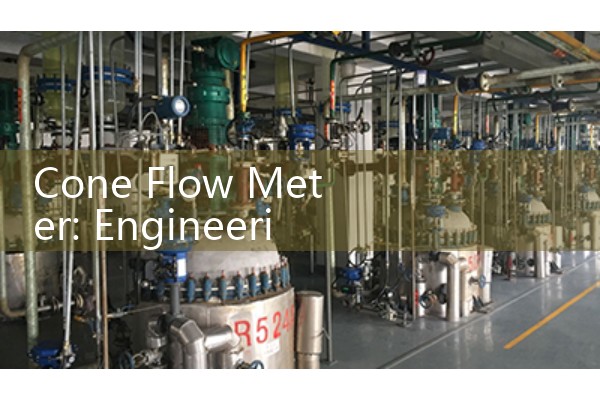 Cone Flow Meter: Engineering behind differential pressure devices with high turndown ratios.